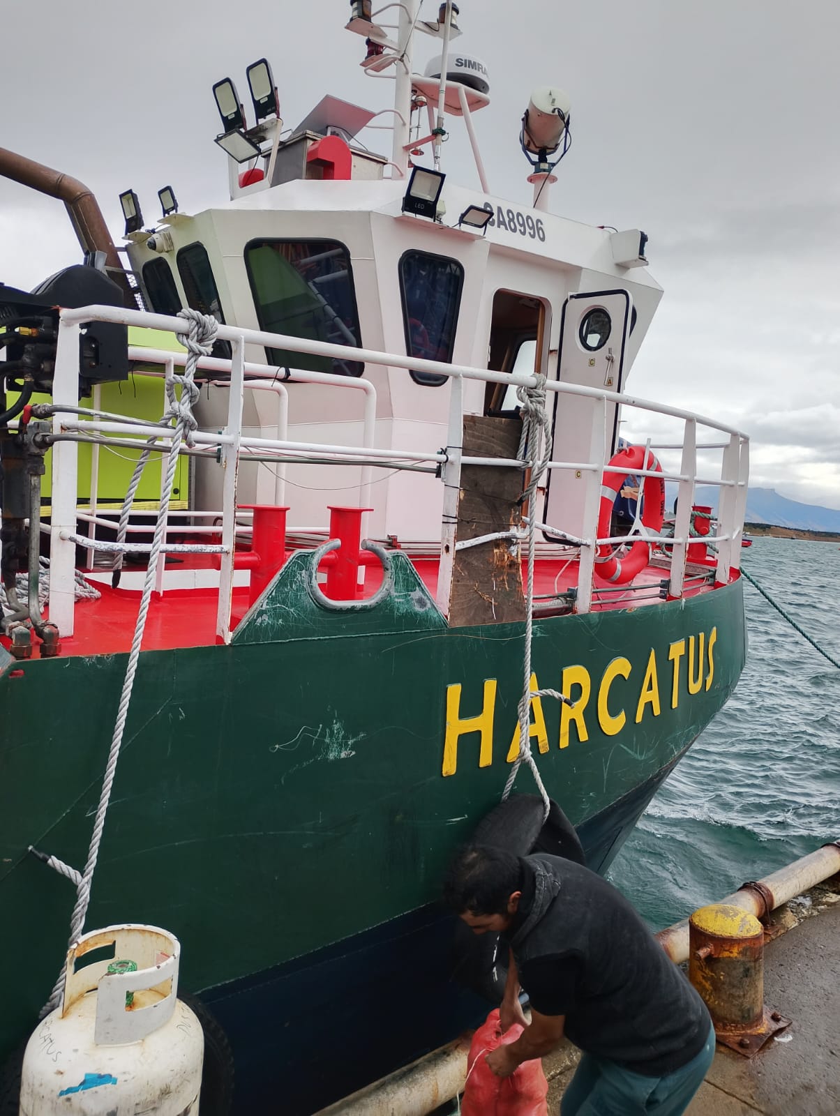 HARCATUS FOTO